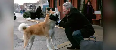 6 hermosas películas que enseñan a los niños el amor por los animales 6 hermosas películas que enseñan a los niños el amor por los animales