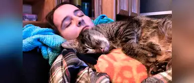5 Razones por los que tu gato le encanta dormir contigo 5 Razones por los que tu gato le encanta dormir contigo