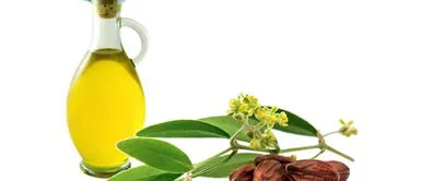 Aprende a hacer un removedor de maquillaje con productos naturales Aprende a hacer un removedor de maquillaje con productos naturales