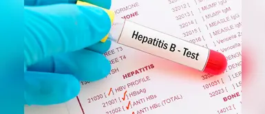 Hepatitis B: reglas de oro que debemos seguir para prevenir esta enfermedad Hepatitis B: reglas de oro que debemos seguir para prevenir esta enfermedad