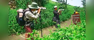 Invierno es la mejor temporada para conocer la Reserva Nacional de Lachay Invierno es la mejor temporada para conocer la Reserva Nacional de Lachay