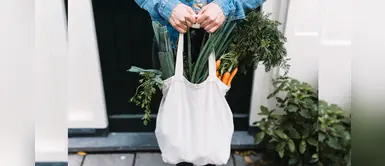 La bolsa de tela es la alternativa más amigable para el medio ambiente La bolsa de tela es la alternativa más amigable para el medio ambiente