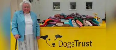 Abuelita de 89 años tejió 450 mantas para perros en refugio invernal Abuelita de 89 años tejió 450 mantas para perros en refugio invernal