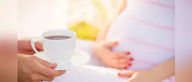 ¿Qué hierbas se debe evitar en el embarazo y lactancia? ¿Qué hierbas se debe evitar en el embarazo y lactancia?