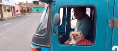 ¡Todo un dog lover! Mototaxista trabaja con su mascota para no dejarla sola en casa ¡Todo un dog lover! Mototaxista trabaja con su mascota para no dejarla sola en casa