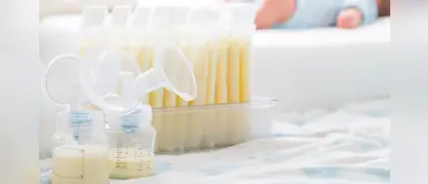 ¿Cómo y cuándo crear un banco de leche? ¿Cómo y cuándo crear un banco de leche?
