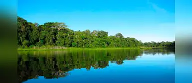 Conoce los 5 mejores destinos turísticos de la selva peruana Conoce los 5 mejores destinos turísticos de la selva peruana