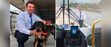 Conductor detiene su autobús para rescatar a un perro y pasajeros lo aplauden Conductor detiene su autobús para rescatar a un perro y pasajeros lo aplauden