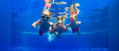 Si van a la piscina, estén alerta con el parásito del 'crypto' Si van a la piscina, estén alerta con el parásito del 'crypto'