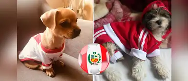Perú vs. Chile: perros alientan a la selección peruana con estas camisetas Perú vs. Chile: perros alientan a la selección peruana con estas camisetas