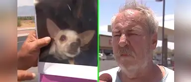 Esta perrita se perdió y su dueño está dispuesto a regalar su casa Esta perrita se perdió y su dueño está dispuesto a regalar su casa