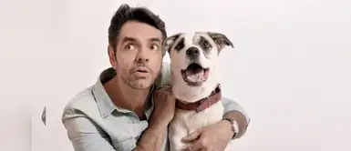 Golpean brutalmente a Eugenio Derbez tras defender a un perrito Golpean brutalmente a Eugenio Derbez tras defender a un perrito