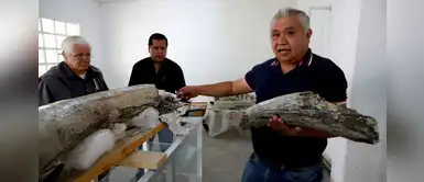 México: expertos hallan fósiles de animales entre 10.000 y 14.000 años México: expertos hallan fósiles de animales entre 10.000 y 14.000 años