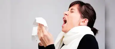 Rinitis alérgica: qué lo agrava y cómo reducir el impacto en la salud Rinitis alérgica: qué lo agrava y cómo reducir el impacto en la salud