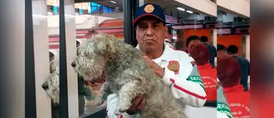Cortan energía eléctrica del tren para salvar a un perrito en México Cortan energía eléctrica del tren para salvar a un perrito en México