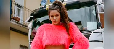Rosalía es criticada por usar prendas con piel de zorro ártico Rosalía es criticada por usar prendas con piel de zorro ártico