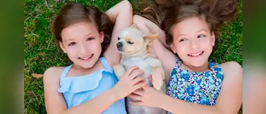 Mellizos y gemelos ¿Es bueno vestirlos igual? Mellizos y gemelos ¿Es bueno vestirlos igual?