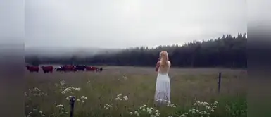 Artista sueca usa antiguo llamado para reunir a las vacas y enamora en Internet Artista sueca usa antiguo llamado para reunir a las vacas y enamora en Internet