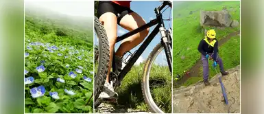 Lomas de Lúcumo: consigue los mejores recuerdos a sólo 2 hora de Lima Lomas de Lúcumo: consigue los mejores recuerdos a sólo 2 hora de Lima