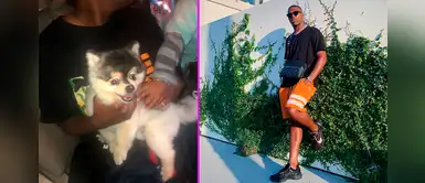 ¿Crees que Daniel Sturridge pagará los 37.500 dólares por su perrito perdido? ¿Crees que Daniel Sturridge pagará los 37.500 dólares por su perrito perdido?