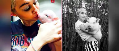 Miley Cyrus: “mi querida Pig Pig ha fallecido, siempre te echaré de menos” Miley Cyrus: “mi querida Pig Pig ha fallecido, siempre te echaré de menos”