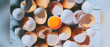 4 sorprendentes beneficios que brinda la “tela” del huevo 4 sorprendentes beneficios que brinda la “tela” del huevo