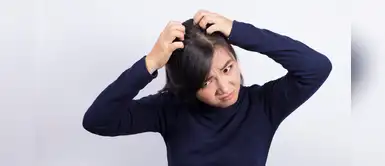 3 remedios caseros para eliminar los piojos y liendres 3 remedios caseros para eliminar los piojos y liendres