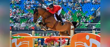 Senasa verifica la sanidad de 141 caballos para la competencia de los Juegos Panamericanos Senasa verifica la sanidad de 141 caballos para la competencia de los Juegos Panamericanos
