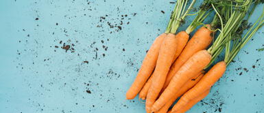 Así es como puedes hacer una mascarilla de zanahoria para cuidar tu cabello Así es como puedes hacer una mascarilla de zanahoria para cuidar tu cabello