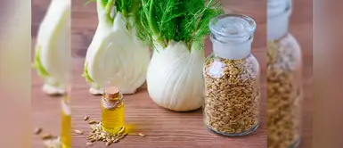 Rituales con hinojo para alejar todas las energías negativas de tu vida Rituales con hinojo para alejar todas las energías negativas de tu vida