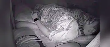 Un hombre tenía problemas respiratorios y descubre que su gato lo asfixiaba al dormir Un hombre tenía problemas respiratorios y descubre que su gato lo asfixiaba al dormir