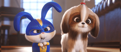 Increíbles nombres para gatos y perros inspirados en “La vida secreta de tus mascotas 2” Increíbles nombres para gatos y perros inspirados en “La vida secreta de tus mascotas 2”