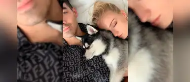 Sophie Turner y Joe Jonas, acongojados por la pérdida de su perro Waldo en un atropello Sophie Turner y Joe Jonas, acongojados por la pérdida de su perro Waldo en un atropello