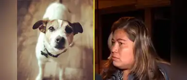 ¡No al maltrato! Mujer lanzó a perrito de quinto piso y falleció en el acto en SMP ¡No al maltrato! Mujer lanzó a perrito de quinto piso y falleció en el acto en SMP