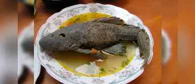 Caldo de carachama: un delicioso plato amazónico que no puede faltar en tu mesa Caldo de carachama: un delicioso plato amazónico que no puede faltar en tu mesa