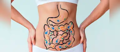 ¿Quieres mejorar tu digestión? Conoce los remedios herbales para lograrlo ¿Quieres mejorar tu digestión? Conoce los remedios herbales para lograrlo