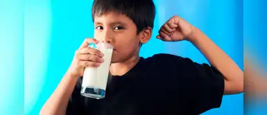 ¿Cuántos nutrientes aportan los lácteos a nuestro organismo? ¿Cuántos nutrientes aportan los lácteos a nuestro organismo?