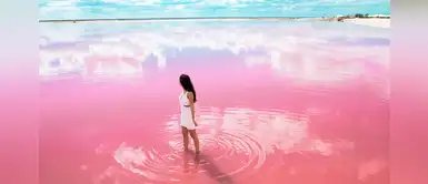 Yucatán: conoce este paraíso rosa y obtén las mejores fotografías Yucatán: conoce este paraíso rosa y obtén las mejores fotografías