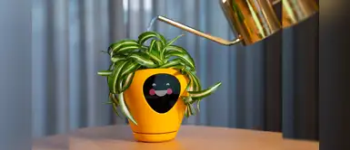 Maceta inteligente hace caras para que sepas cómo se siente tu planta Maceta inteligente hace caras para que sepas cómo se siente tu planta