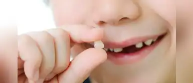 ¿Sabías que los 'dientes de leche' son una fuente de células madre? ¿Sabías que los 'dientes de leche' son una fuente de células madre?