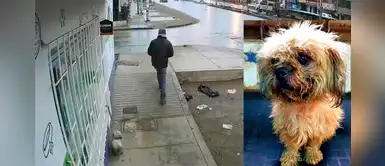 VMT: Un hombre abandona a su perrito enfermo en la puerta de veterinaria VMT: Un hombre abandona a su perrito enfermo en la puerta de veterinaria