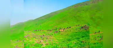 Lomas de Paraíso: trekking al cielo desde 49 soles Lomas de Paraíso: trekking al cielo desde 49 soles