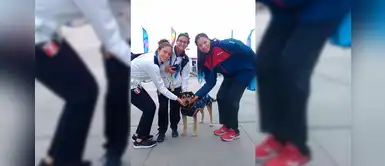 Lima 2019: conoce la historia de amor de los perritos en la villa de los Panamericanos Lima 2019: conoce la historia de amor de los perritos en la villa de los Panamericanos