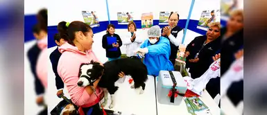 Minsa vacunará a más de un millón de perros en cinco regiones del país Minsa vacunará a más de un millón de perros en cinco regiones del país