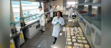 Científicos peruanos crean bebida nutrifuncional para prevenir males crónicos Científicos peruanos crean bebida nutrifuncional para prevenir males crónicos