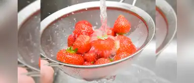 Especialistas advierten que parásitos en las fresas no mueren ni con lejía Especialistas advierten que parásitos en las fresas no mueren ni con lejía