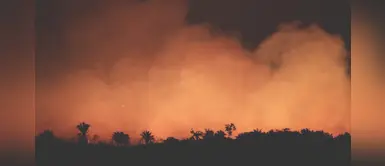 Esta sería la causa del incendio en Brasil que registran 70 mil siniestro este año Esta sería la causa del incendio en Brasil que registran 70 mil siniestro este año