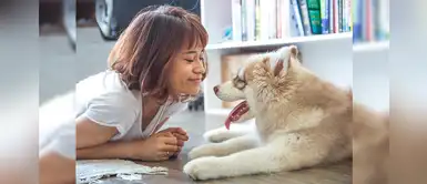 ¿Sabías que tener un perro es bueno para el corazón? ¿Sabías que tener un perro es bueno para el corazón?