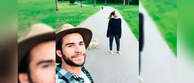 Miley y Liam llegan a un acuerdo sobre la custodia de sus mascotas Miley y Liam llegan a un acuerdo sobre la custodia de sus mascotas