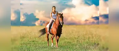 7 curiosidades que no sabías sobre los caballos 7 curiosidades que no sabías sobre los caballos